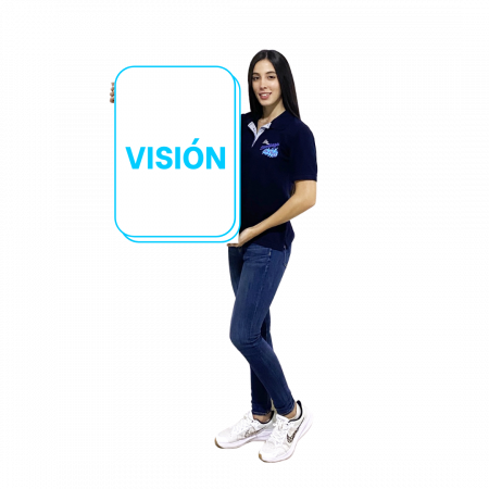 VISION 1